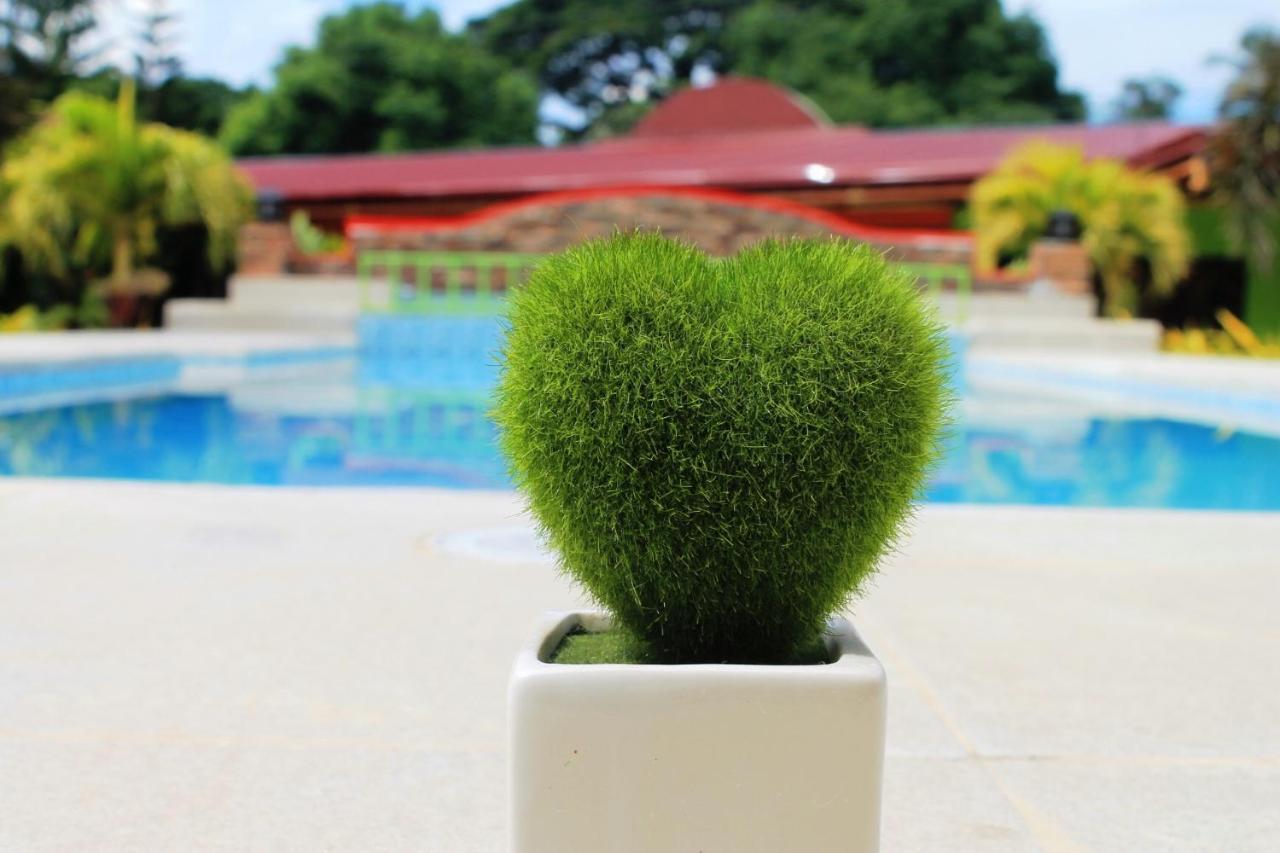 Green Park Tourist Inn Puerto Princesa Ngoại thất bức ảnh