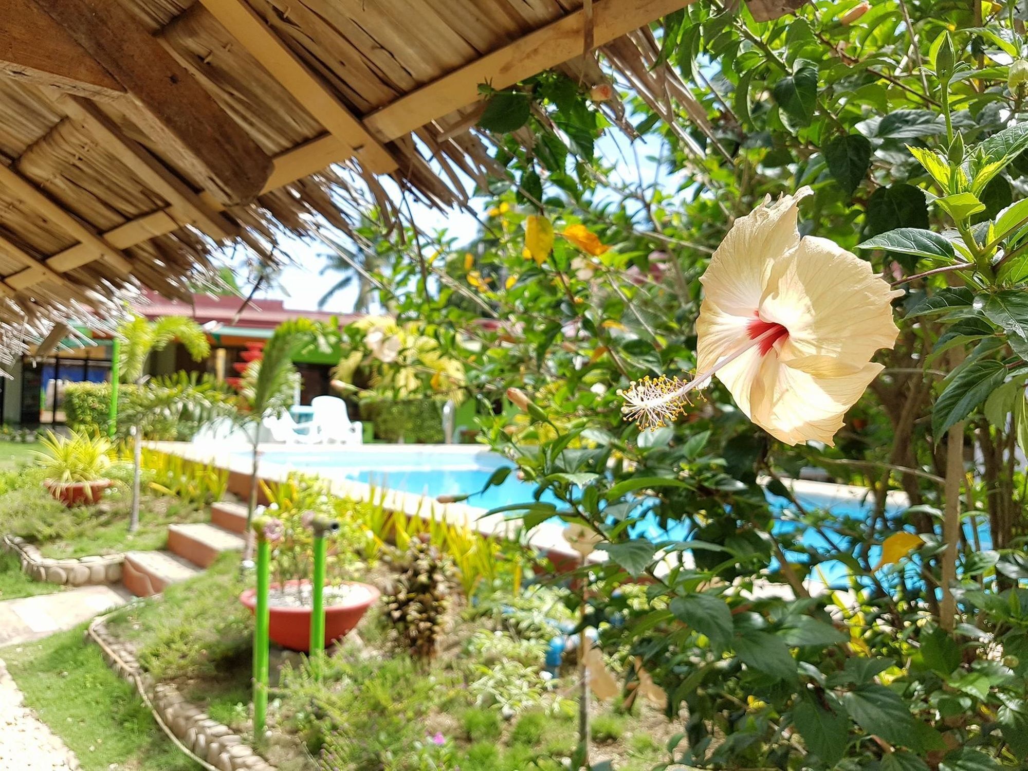 Green Park Tourist Inn Puerto Princesa Ngoại thất bức ảnh